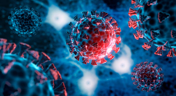 "Virus SEA" merusak organisasi.